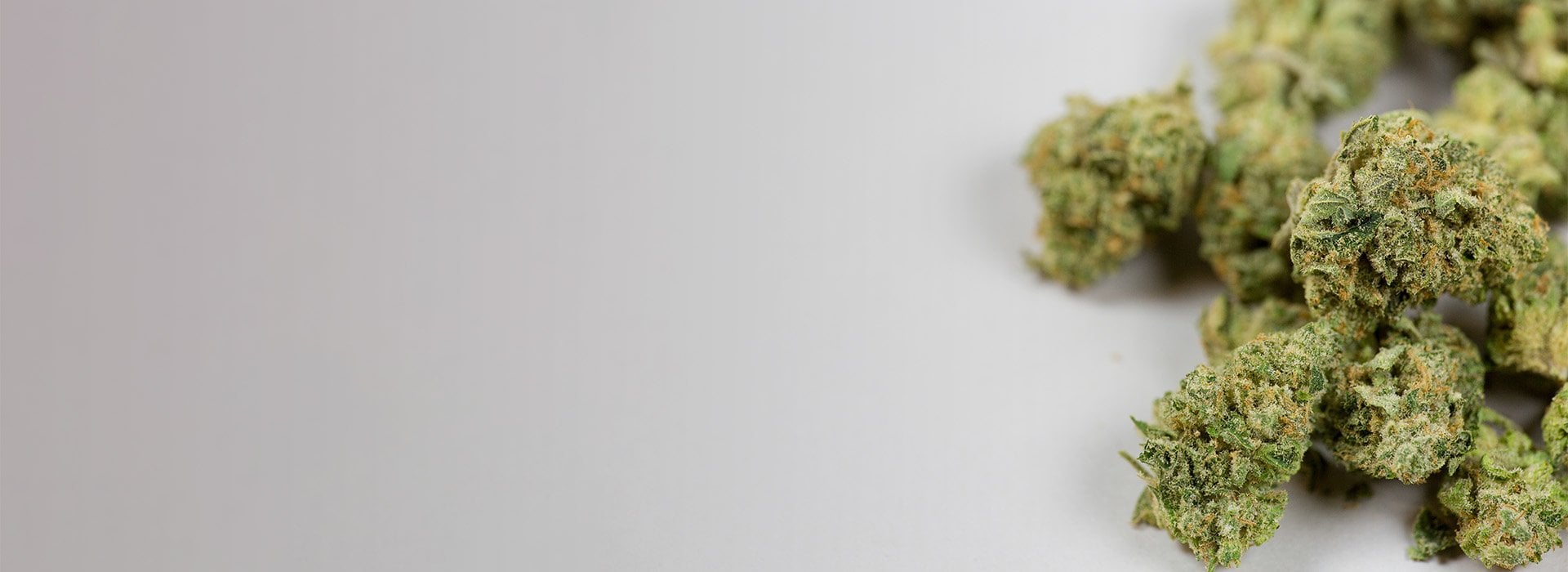 Cannabis Trimmer Manufacturer