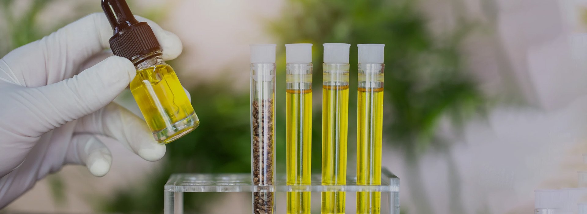HiURTB Cannabis Glass Reactor