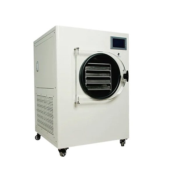 Small Freeze Dryer