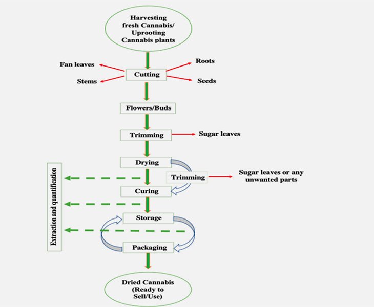 End-to-End Expertise & Customized Solutions