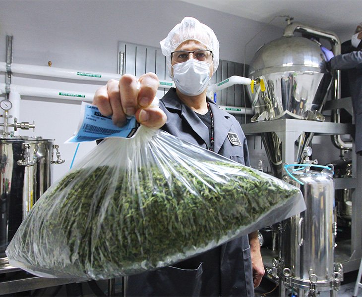 Cannabis Industry Technology Integration Advantages