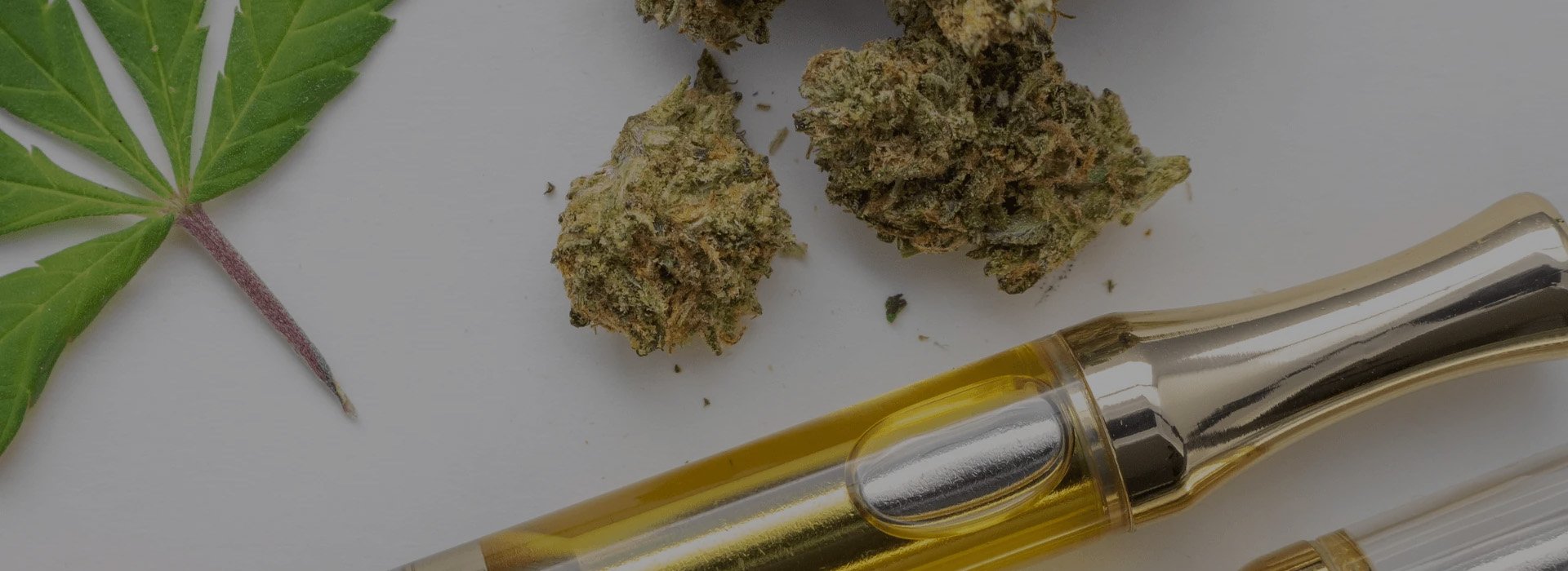 Cannabis Processing