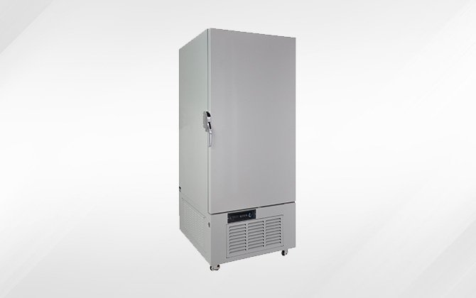 Upright Ultra Low Freezer