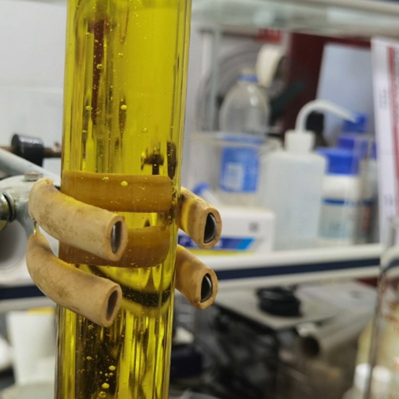 Supercritical Fluid Extraction Ginseng oil extract
