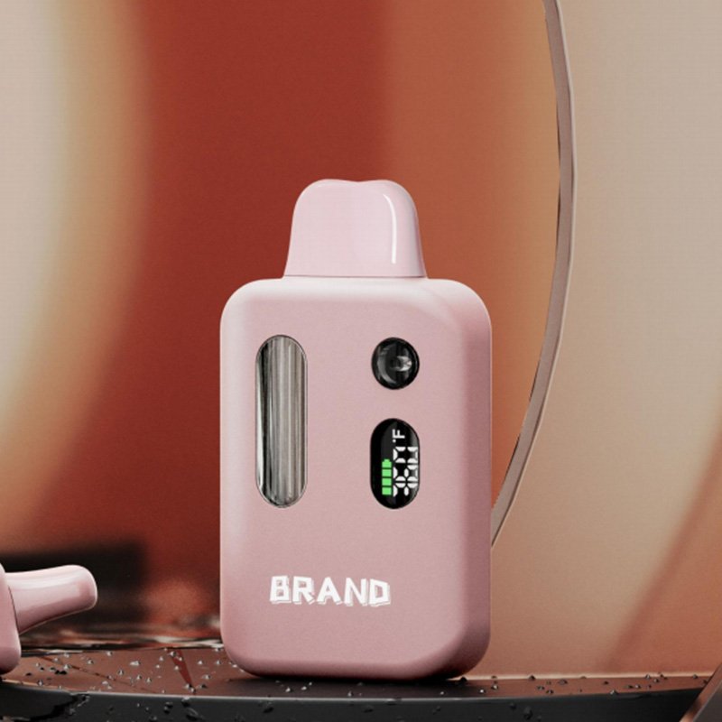 6 Distillate Vape Pen