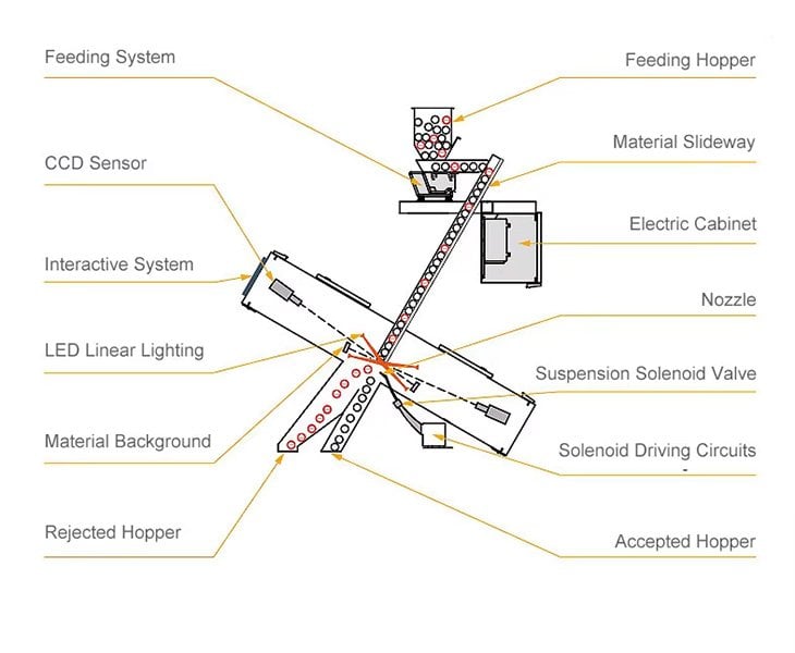 Automated Flower ai sorter factory