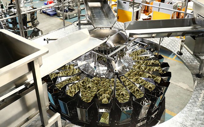 6 multihead-weigher-cannabis-flower-line
