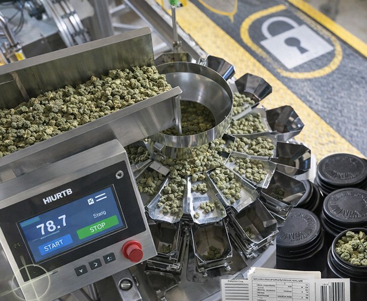 8 Compliance Readiness Cannabis flower packaging machine