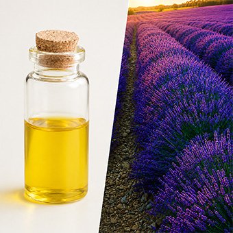 lavender CO2 Extract SFE extraction machine