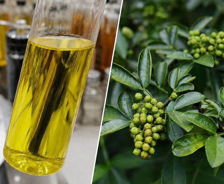 green peppercorn Co2 extract
