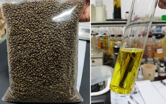 peppercorn extract CO2 extraction method
