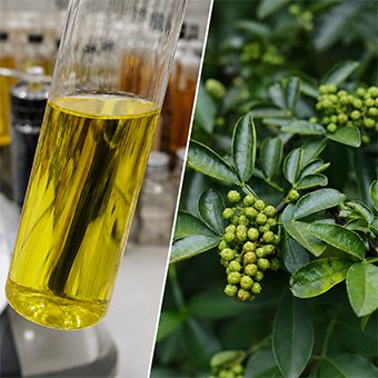 Szechuan Peppercorn oil CO2 extraction equipment