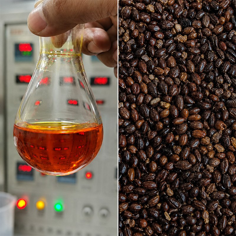 Sea Buckthorn CO2 Extract botanical extraction equipment