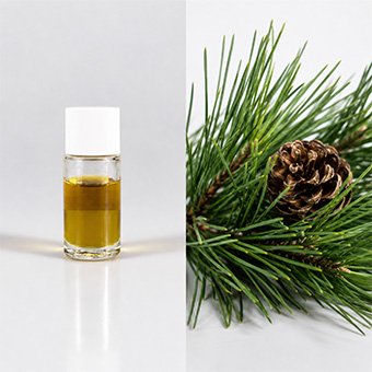 oil supercritical CO2 extraction equipment
